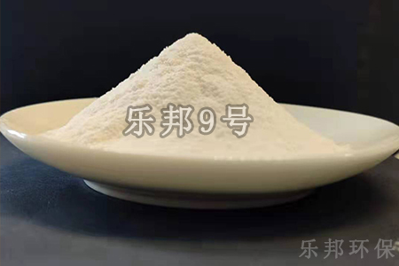 乐邦9号
